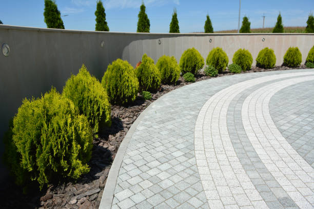 Best Driveway Paving Contractor  in USA